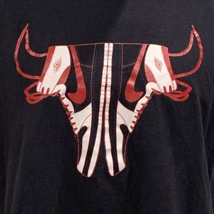 Jordan 1 Bulls T-Shirt XL